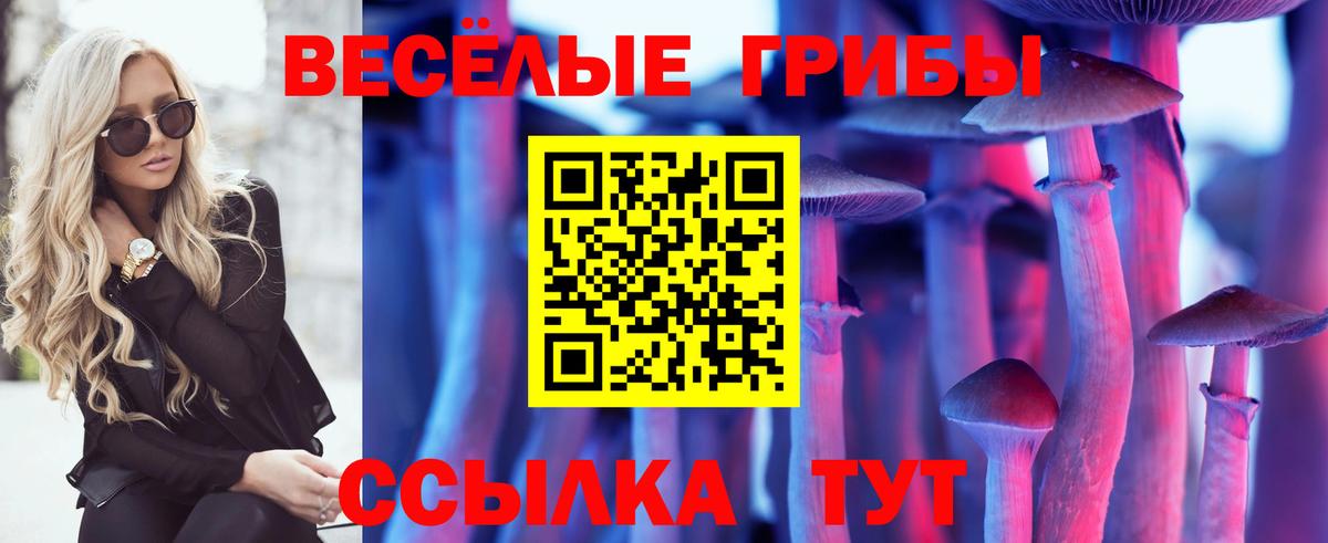 Псилоцибиновые грибы Psilocybe  Вход с VPN  Михайловск 