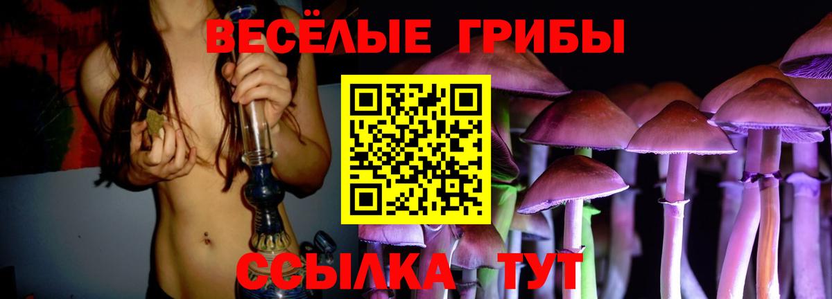 Псилоцибиновые грибы GOLDEN TEACHER Михайловск